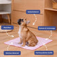 🔥Summer Hot Sale--BUY 1 GET 1 FREE💥🧊Premium Cooling Mat For Pet