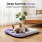 💖LAST DAY SALE ONLY￡9.99!!❄Pet Cooling Mat for Dogs & Cats 🐾 Naturally Cool Ice-Silk Pad • Breathable, Washable & Soft 🌿  For Floors, Sofas & Car Travel • Multiple Sizes • Gradient Colours ☀️🐶🐱