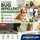 ✨Last Day Buy 2 Get 1 Free🐈🐕Plant-based Insect Repellent Spray🦟Keep annoying insects away！