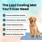 🔥Summer Hot Sale⏰50% OFF! 🥳🧊Premium Cooling Mat For Pet