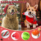 🐶2024 Christmas Countdown Dog Toys Advent Calendar