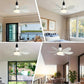 🎁BUY 2 FREE SHIPPING🎁2-IN-1 PORTABLE CEILING FAN & LIGHT with Remote Control
