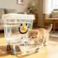 💧Pet Water Dispenser with Large Capacity 🦮 5L Extra-Large Pet Fountain — Great for 3+ Pets | Gravity-Fed | Non-Slip Base