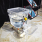 💧Pet Water Dispenser with Large Capacity 🦮 5L Extra-Large Pet Fountain — Great for 3+ Pets | Gravity-Fed | Non-Slip Base