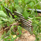 💐⏳ Limited Time!🔥HOT SALE 50% OFF🔥Manual Weed Remover Tool for Lawn and Garden