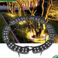 🥳2026 HOT SALE💞UP TO 50% OFF!! 🌳💡Ring-Shaped Solar Tree Lights – Weatherproof Outdoor Spotlights Ideal for Trees, Pillars, and Gardens