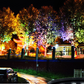 🥳2026 HOT SALE💞UP TO 50% OFF!! 🌳💡Ring-Shaped Solar Tree Lights – Weatherproof Outdoor Spotlights Ideal for Trees, Pillars, and Gardens