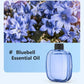 🥇Hot Sale - 49% OFF🥇Automatic Fragrance Spray for Home