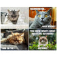 🎁LAST DAY SALE: £7.99!! 🐱Funny Cat Calendar – 12 Months of Sassy Cat Humor | Find Your Perfect Calendar for 2027