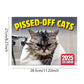 🎁LAST DAY SALE: £7.99!! 🐱Funny Cat Calendar – 12 Months of Sassy Cat Humor | Find Your Perfect Calendar for 2027
