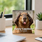 🥳2026 HOT SALE🥳💞50K+ SOLD!📢📢49% OFF ! Funny Capybara 2027 Wall Calendar – 12-Month Cute & Playful Capybara Calendar, Spiral Hanging Wall Planner for Capybara Lovers & Nature Fans