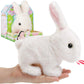 🐰Interactive Easter Bunny Toy