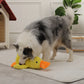 🏆Quack-Quack Duck Dog Toy✨Buy 2 Free Shipping