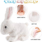 🐰Interactive Easter Bunny Toy