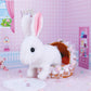 🐰Interactive Easter Bunny Toy